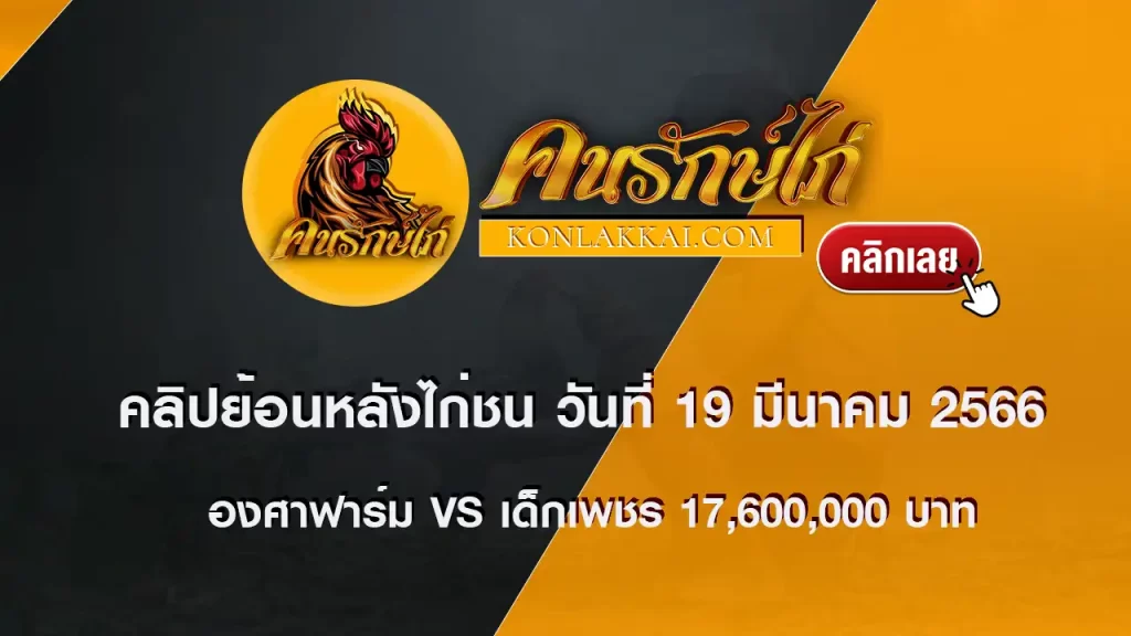 คลิปไก่ชนย้อนหลัง วันที่ 19 มีนาคม 2566 ระหว่างซุ่มไก่ชน องศาฟาร์ม vs เด็กเพชร 17,600,000 บาท