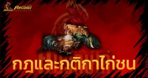 กติกาไก่ชน เข้าใจมากขึ้น วางเดิมพันได้ ไม่ต้องเสี่ยงโดนโกง