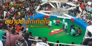ทำความรู้จักกับ สนามชนไก่เทิดไท สนามไก่ชนระดับประเทศ