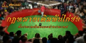กฎหมายพนันไก่ชน มีความแตกต่างกัน ไก่ชนไทย ไก่ชนพม่า ไก่ชนกัมพูชา แตกต่างกันอย่างไร