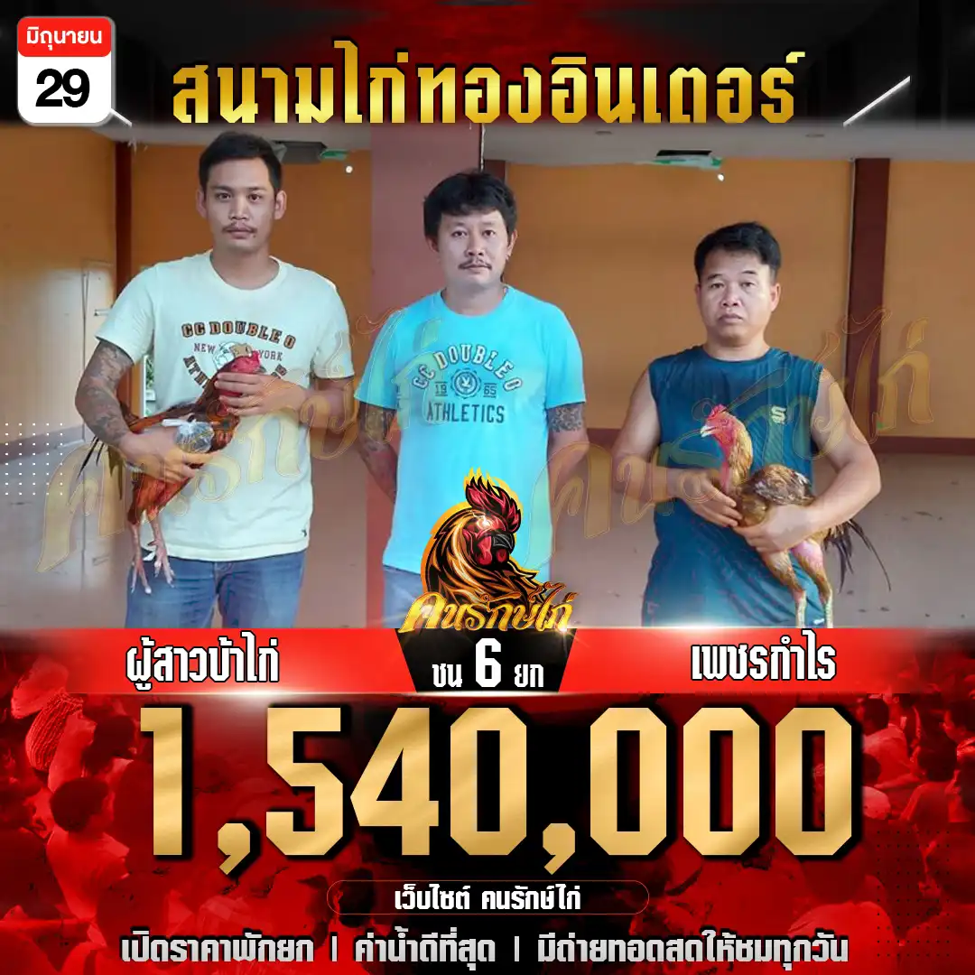 ผู้สาวบ้าไก่ พบ เพชรกำไร ชน 6 ยก ชิงเงินรางวัล 1,540,000 บาท