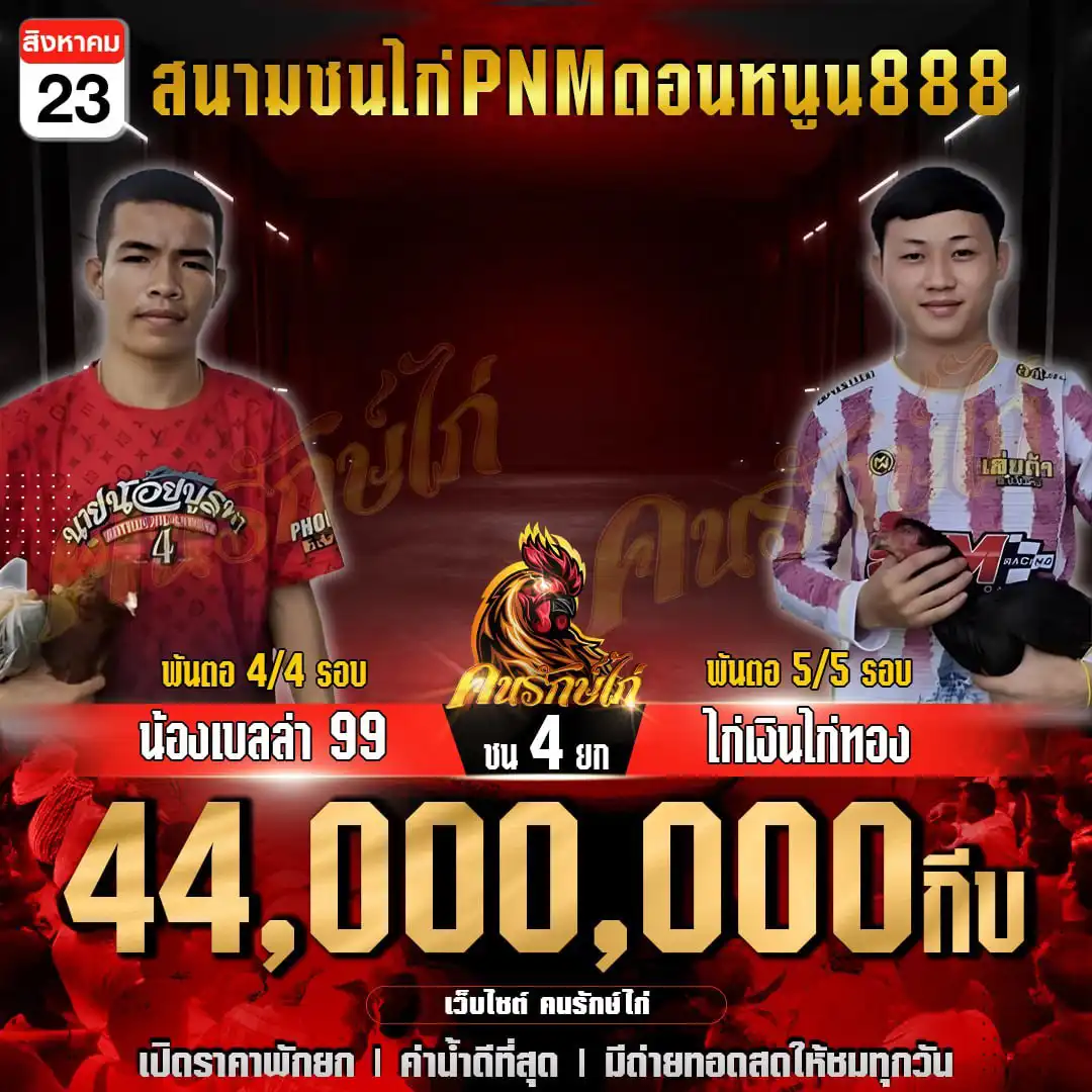 น้องเบลล่า99 พบ ไก่เงินไก่ทอง กำหนดชน 4 ยก ชิงเงินรางวัล 44,000,000 กีบ