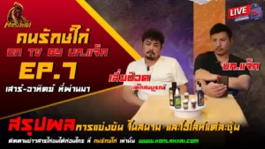 สรุปผลไก่ชน 24-25 สิงหาคม 2567