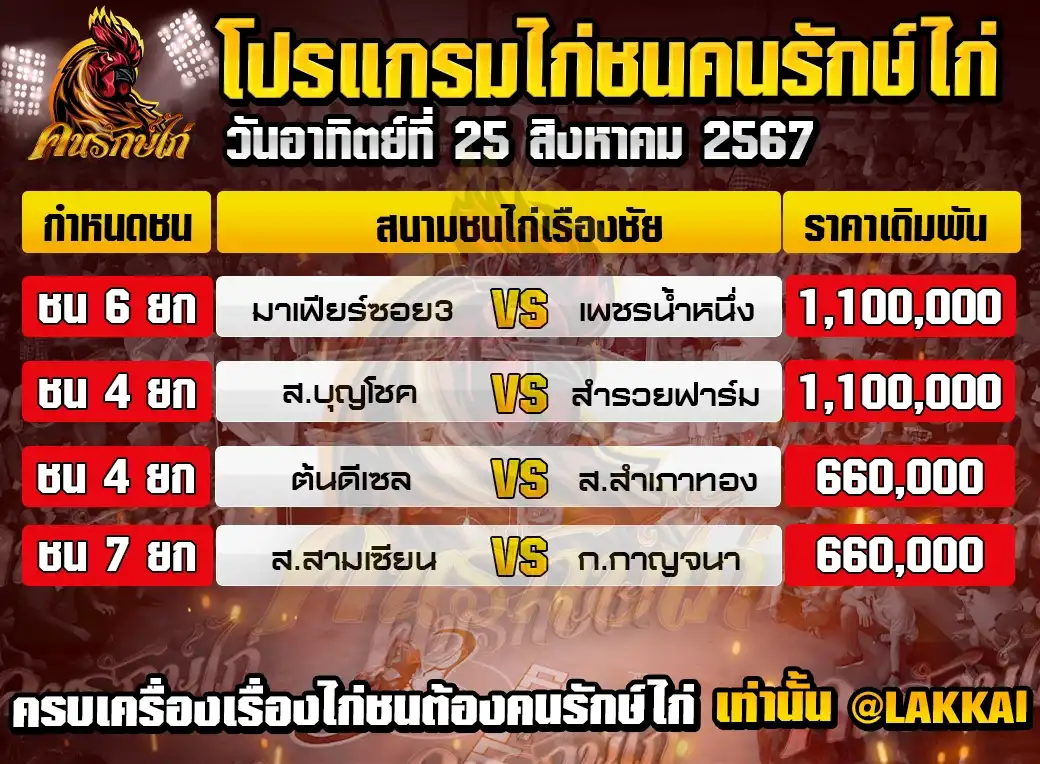 โปรแกรมรวม วันที่ 25 สิงหาคม 2567