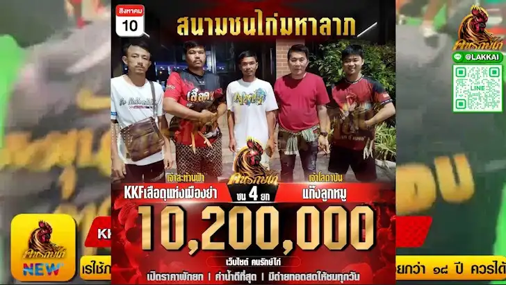 ไก่ชนย้อนหลัง 10 สิงหาคม 2567 KKFเสือดุแห่งเมืองย่า พบ แก๊งลูกหมู 10,200,000 บาท