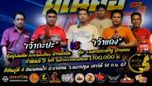 สีสันสนามไก่ชน คู่ที่4 14 กันยายน 2567 สนามป.บางเลน