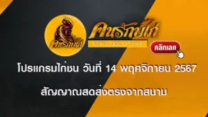 โปรแกรมไก่ชน 14 พฤศจิกายน 2567