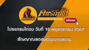 โปรแกรมไก่ชน 16 พฤศจิกายน 2567