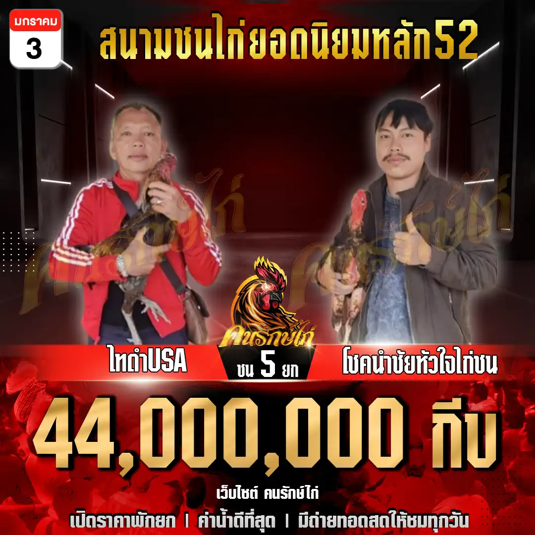 ไทดำUSA พบ โชคนำชัยหัวใจไก่ชน กำหนดชน 5 ยก