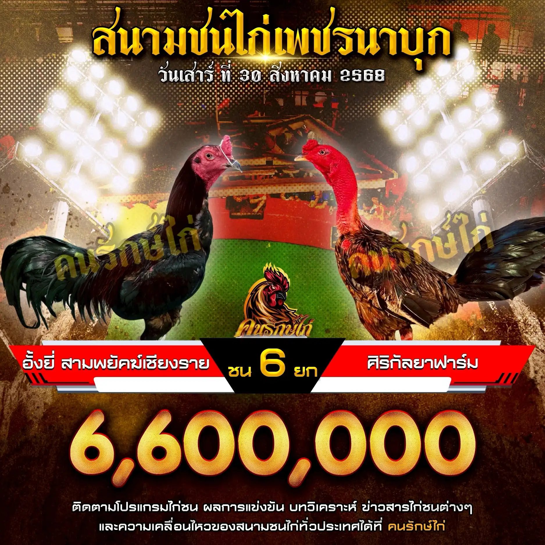ศิริกัลยาฟาร์ม พบ อั้งยี่ สามพยัคฆ์เชียงราย กำหนดชน 6 ยก