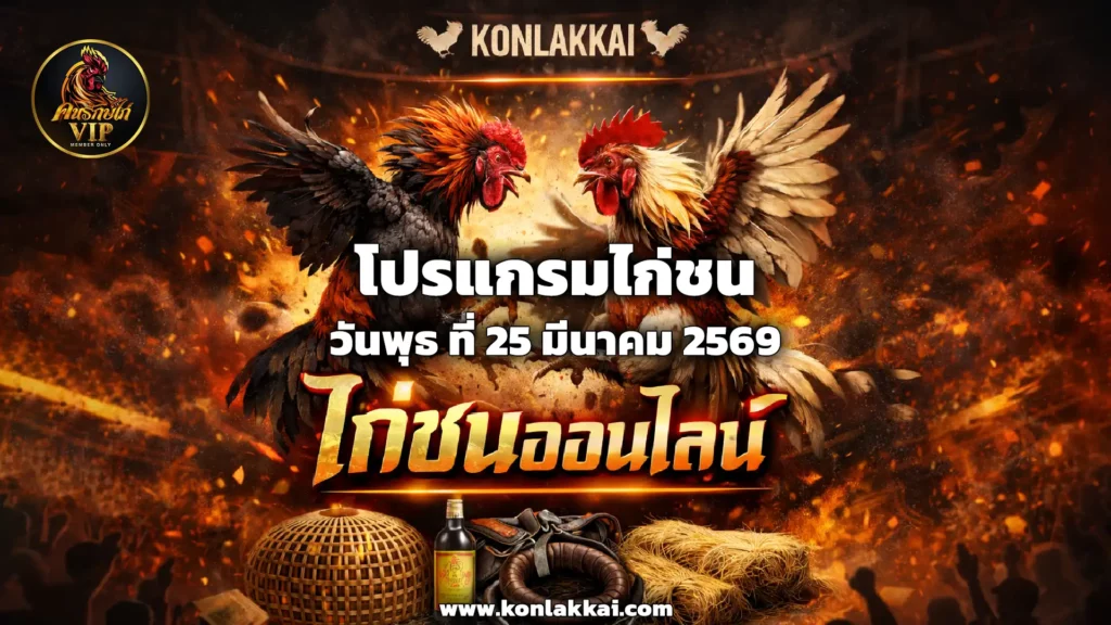 โปรแกรมไก่ชน 25 มีนาคม 2569 สนามชนไก่โพนโฮงออลสตาร์ (สปป.ลาว) ถ่ายทอดสดไก่ชนดูฟรี