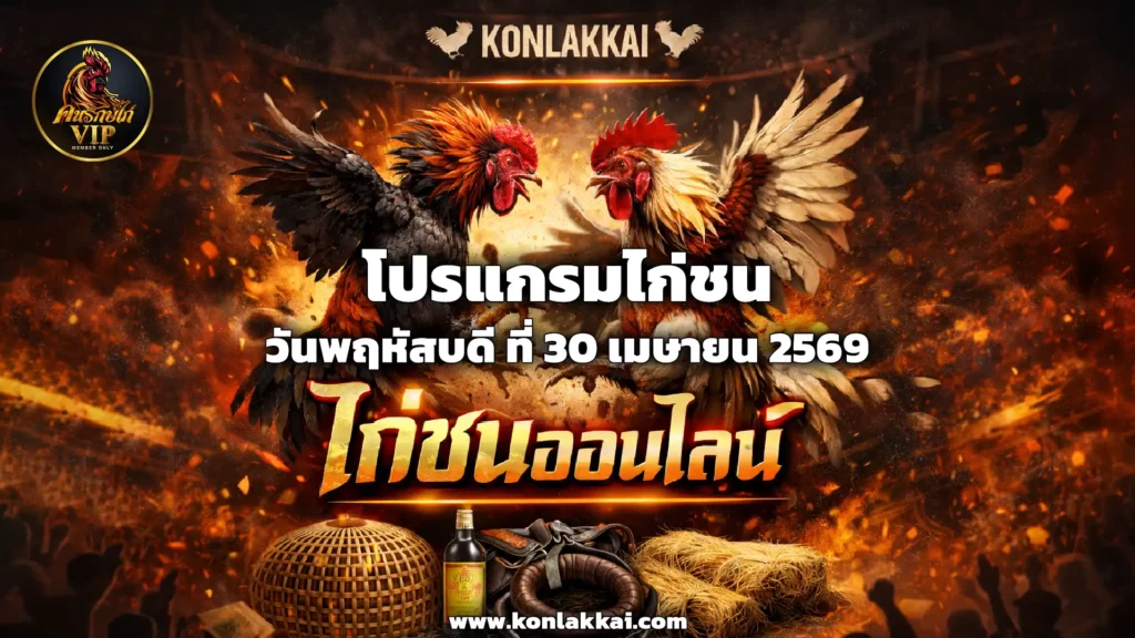 โปรแกรมไก่ชน 30 เมษายน 2569 สนามชนไก่มังกรทอง ถ่ายทอดสดไก่ชนดูฟรี พร้อมอัปเดตผลทันที