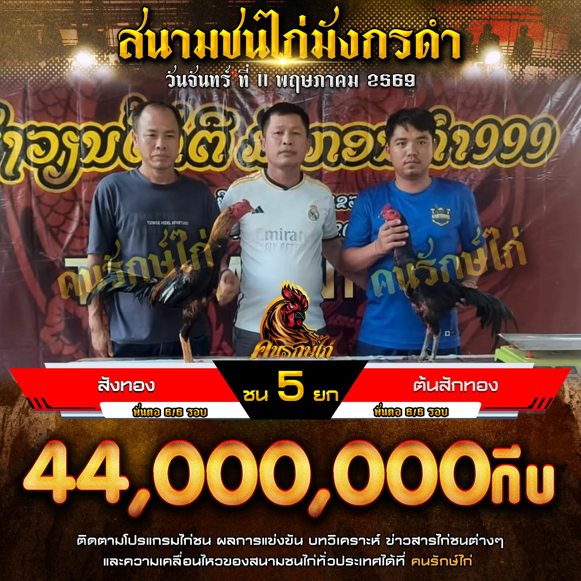 สังทอง VS ต้นสักทอง 11 พฤษภาคม 2569