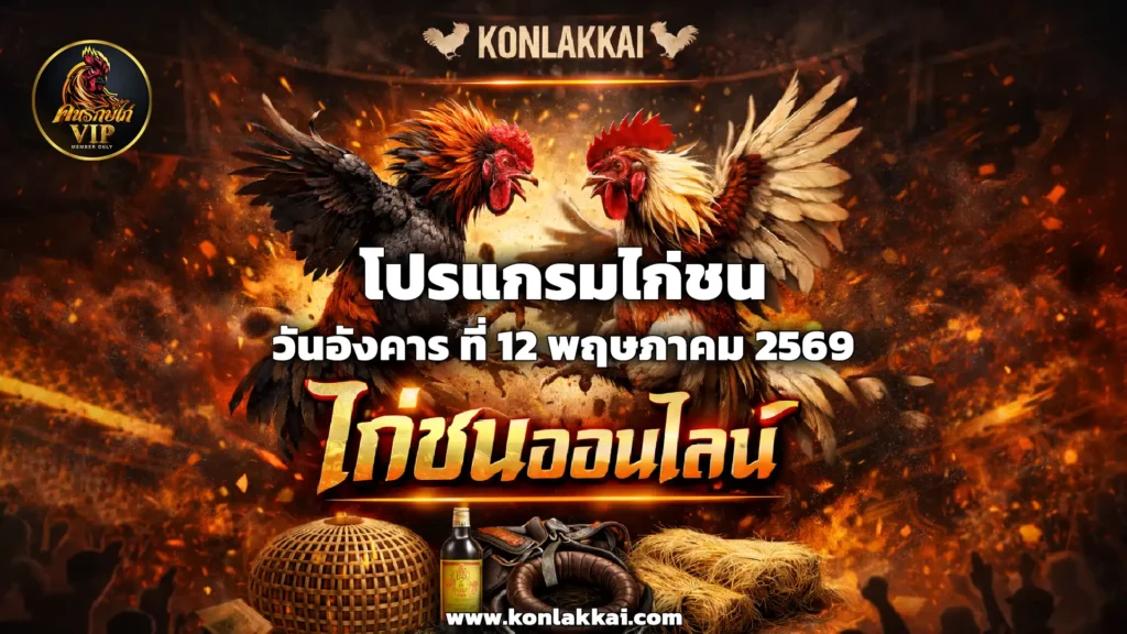 โปรแกรมไก่ชน 12 พฤษภาคม 2569 สนาม PNM ดอนหนูน888 ถ่ายทอดสดไก่ชนดูฟรี พร้อมอัปเดตผลไก่ชน