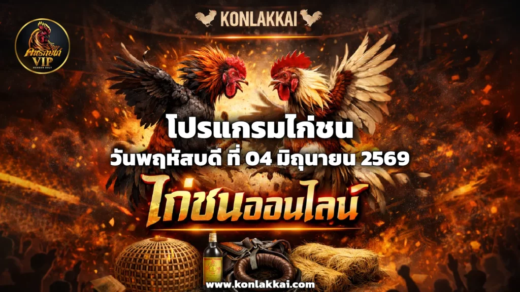 โปรแกรมไก่ชน 04 มิถุนายน 2569