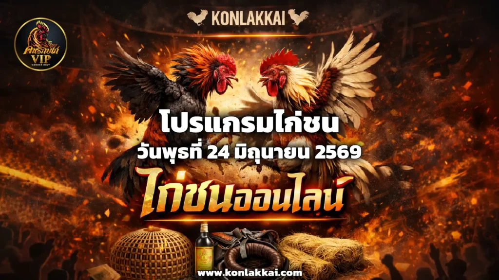 โปรแกรมไก่ชน 24 มิถุนายน 2569 สนามชนไก่โพนโฮงออลสตาร์(สปป.ลาว) ถ่ายทอดสดไก่ชนดูฟรี
