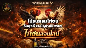 โปรแกรมไก่ชน 24 มิถุนายน 2569