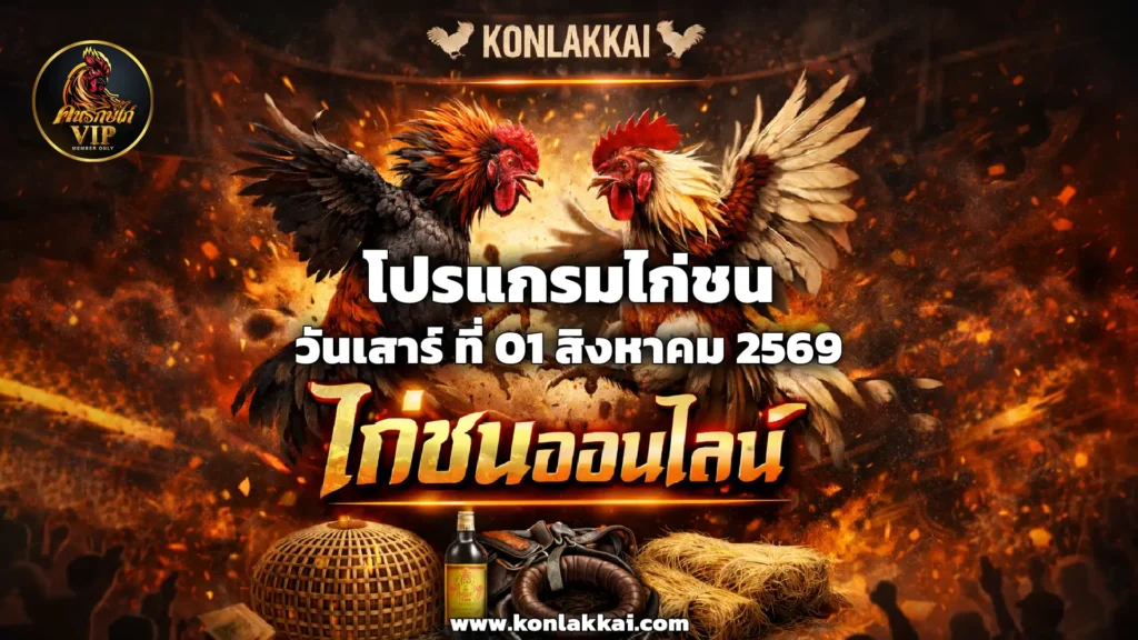 โปรแกรมไก่ชน 01 สิงหาคม 2569 รวม 2 สนามดัง ถ่ายทอดสดไก่ชนดูฟรี