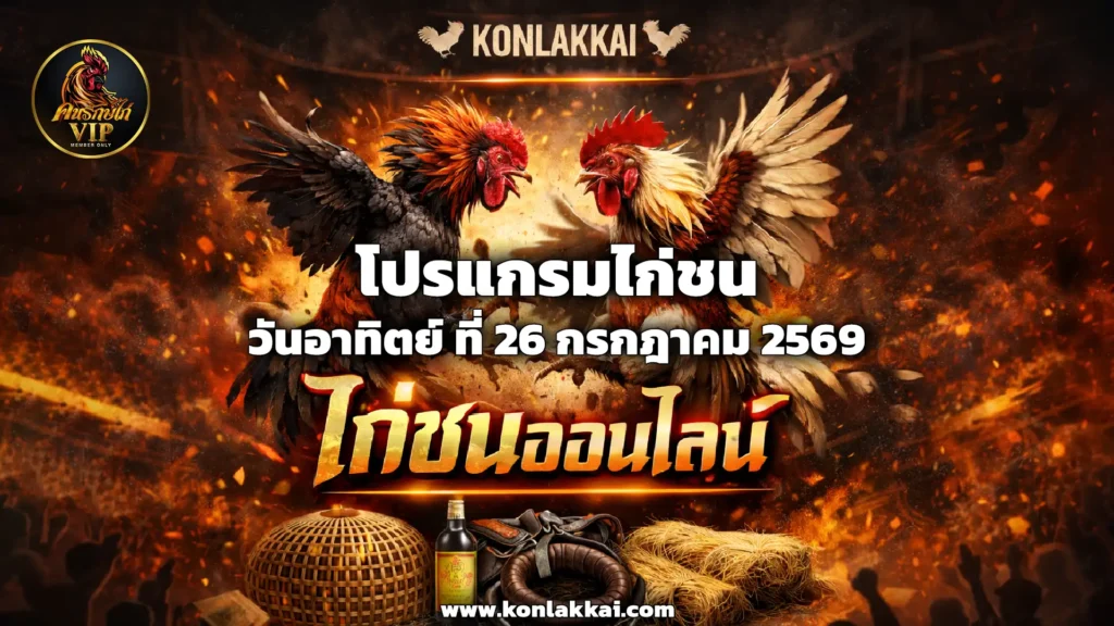 โปรแกรมไก่ชน 26 กรกฎาคม 2569 สนามชนไก่เทิดไทซิตี้ ถ่ายทอดสดไก่ชนดูฟรี