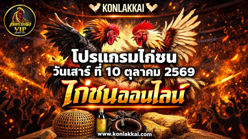 โปรแกรมไก่ชน 10 ตุลาคม 2569 รวม 2 สนามดัง ถ่ายทอดสดไก่ชนดูฟรี
