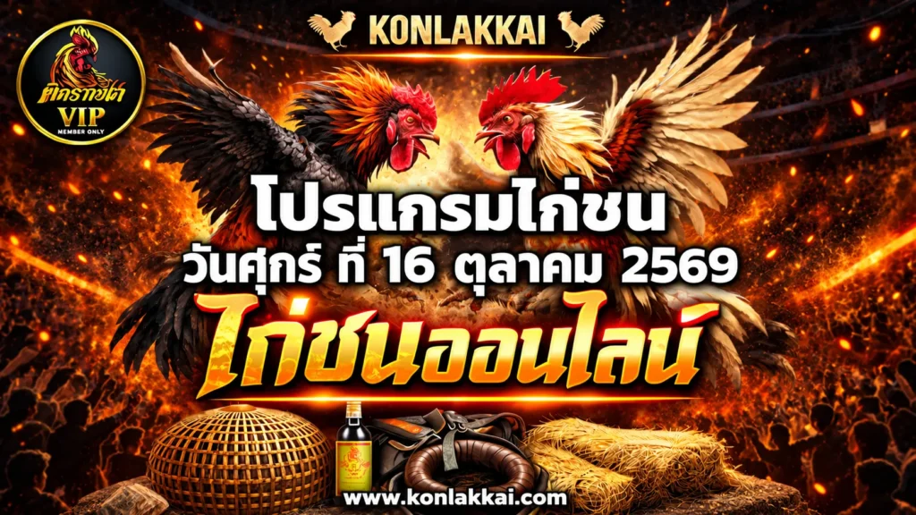 โปรแกรมไก่ชน 16 ตุลาคม 2569 สนามชนไก่บ้านใหม่ลำปาง ถ่ายทอดสดไก่ชนดูฟรี