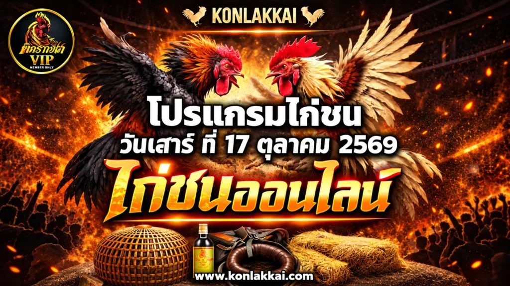 โปรแกรมไก่ชน 17 ตุลาคม 2569 รวม 2 สนามดัง ถ่ายทอดสดไก่ชนดูฟรี