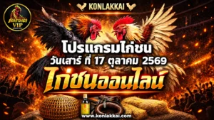 โปรแกรมไก่ชน 17 ตุลาคม 2569