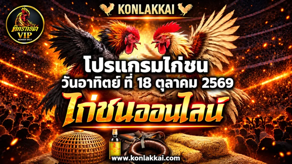 โปรแกรมไก่ชน 19 ตุลาคม 2569 สนามชนไก่นานาชาติเจ้าสัว ถ่ายทอดสดไก่ชนดูฟรี