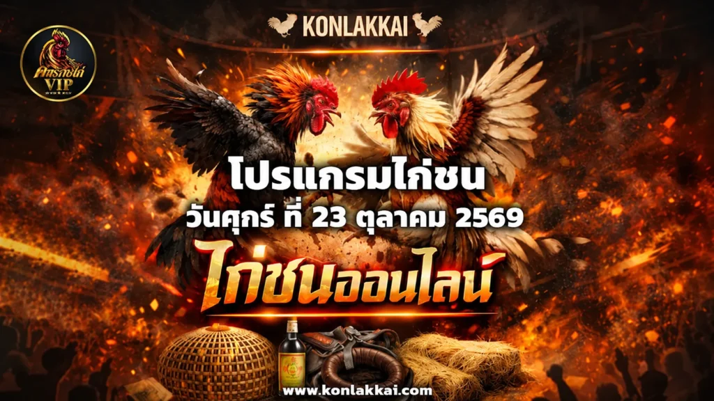 โปรแกรมไก่ชน 23 ตุลาคม 2569 สนามชนไก่บ้านใหม่ลำปาง ถ่ายทอดสดไก่ชนดูฟรี