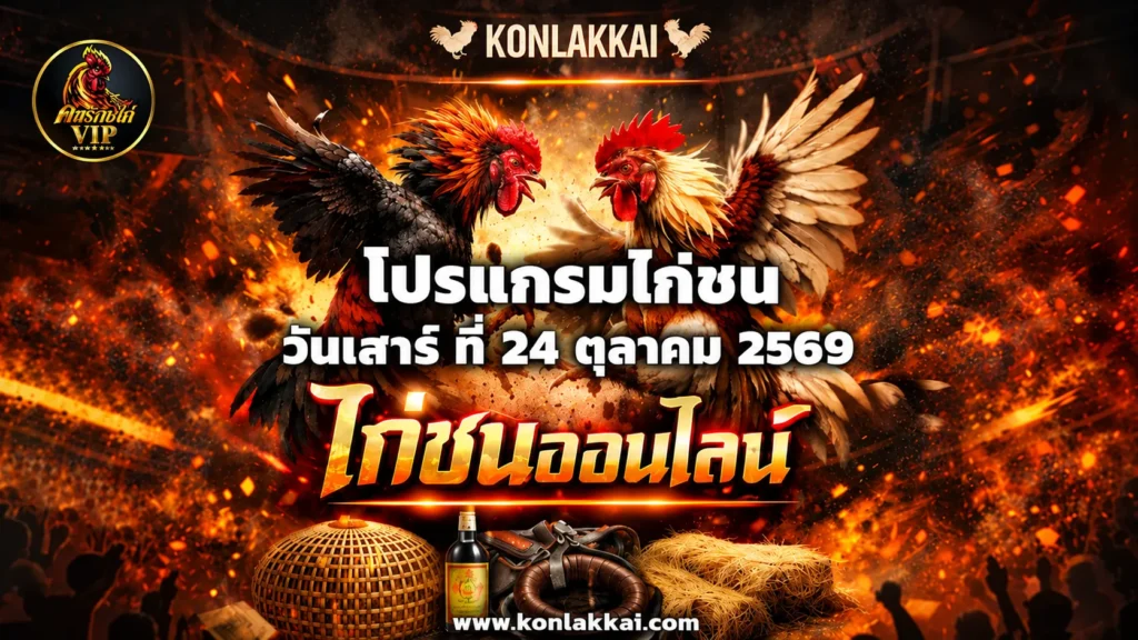 โปรแกรมไก่ชน 24 ตุลาคม 2569 รวม 2 สนามดัง ถ่ายทอดสดไก่ชนดูฟรี