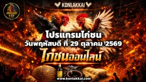 โปรแกรมไก่ชน 29 ตุลาคม 2569