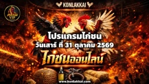 โปรแกรมไก่ชน 31 ตุลาคม 2569